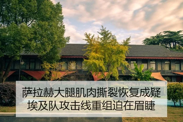 sa-la-he-da-tui-ji-rou-si-lie-hui-fu-cheng-yi-ai-ji-dui-gong-ji-xian-chong-zu-po-zai-mei-jie-2-444.jpg